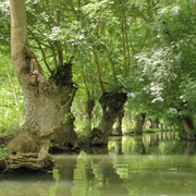 Parc Naturel Regional Du Marais Poitevin, France