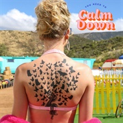 Taylor Swift - You Need to Calm Down
