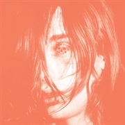 Deerhunter - Microcastle/Weird Era Cont.