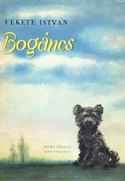 Bogáncs (István Fekete)