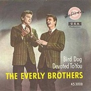 Bird Dog - The Everly Brothers