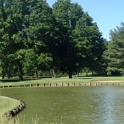 Vienna, West Virginia