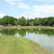 Blue Springs, Alabama