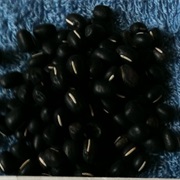 Black Adzuki Bean