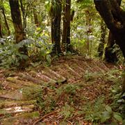 Morne Trois Pitons National Park