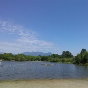 Trout Lake