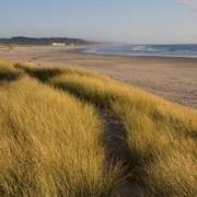 South Beach State Park, Oregon