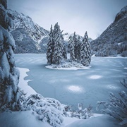 How Do Animals Survive in a Frozen Lake