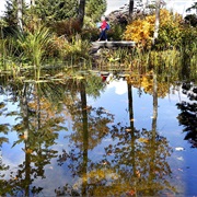 Coastal Maine Botanical Gardens