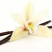 Vanilla