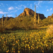Pichacho Peak State Park, Arizona