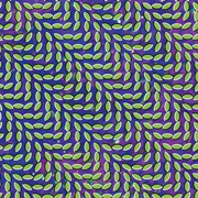 Bluish - Animal Collective