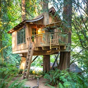 Sleep in a Treehouse