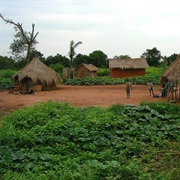 Zinga, Central African Republic