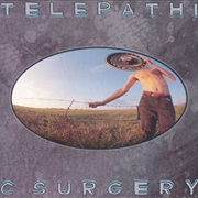 The Flaming Lips - Telepathic Surgery