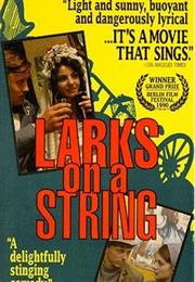 Larks on a String (Jiří Menzel)