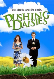 Pushing Daisies (2007)