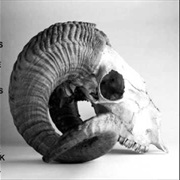 Kiss the Anus of a Black Cat - Hewers of Wood and Drawers of Water