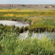 Bitter Lake National Wildlife Refuge