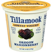 Tillamook Oregon Marionberry Yogurt