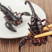 Discover the Most Disturbing Delicacy Around the World
