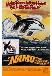 Namu the Killer Whale