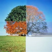 Living in Climate With Four Distinct Seasons