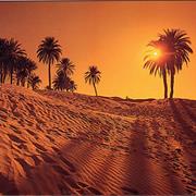 As Hot as 110F / 43C