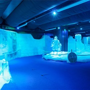 Ice Museum