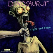 Feel the Pain - Dinosaur Jr.