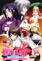 Sekirei: Pure Engagement (2010)