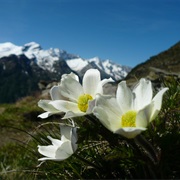 Vedrette Di Ries Aurina Nature Park, Italy