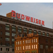 Budweiser Brewery