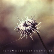 Soul Whirling Somewhere- Everyone Will Eventually Leave You