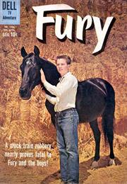 Fury