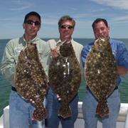 Fluke (Summer Flounder)