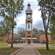 Sam Houston State University