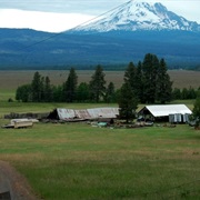 Appleton, Washington