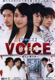 Voice (2009)