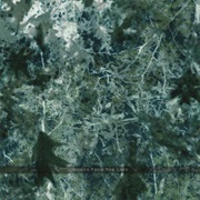 Voices From the Lake - Voices From the Lake