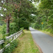 Cape Cod Rail Trail