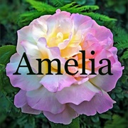Amelia