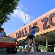 Dallas Zoo