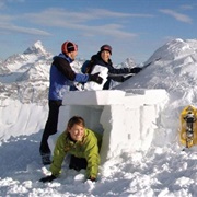 Iglu