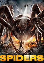 Spiders