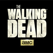 The Walking Dead (2010 - Present)