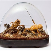 Create a Time Capsule