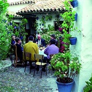 Fiesta of the Patios in Cordova, Spain