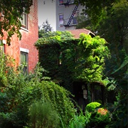 6 BC Botanical Garden, East 6th Street