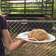 Antonio's Pizza, Pasta and Pasties, Iron Mountain